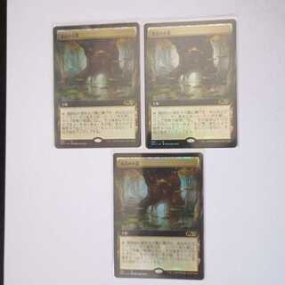 MTG Fabled Passage Expanded FOIL Basic Set Edition 3 copies in stock