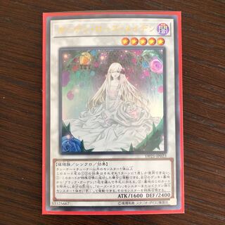 ガーデン・ローズ・メイデン