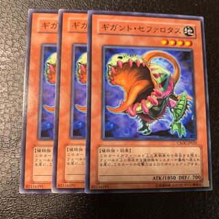 ギガント・セファロタス ノーマル