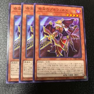 奇采のプルフィネス ノーマル