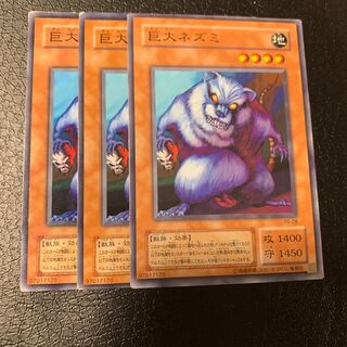 巨大ネズミ ノーマル