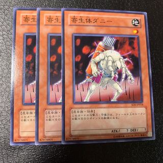 寄生体ダニー ノーマル