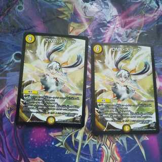 DNA・スパーク R