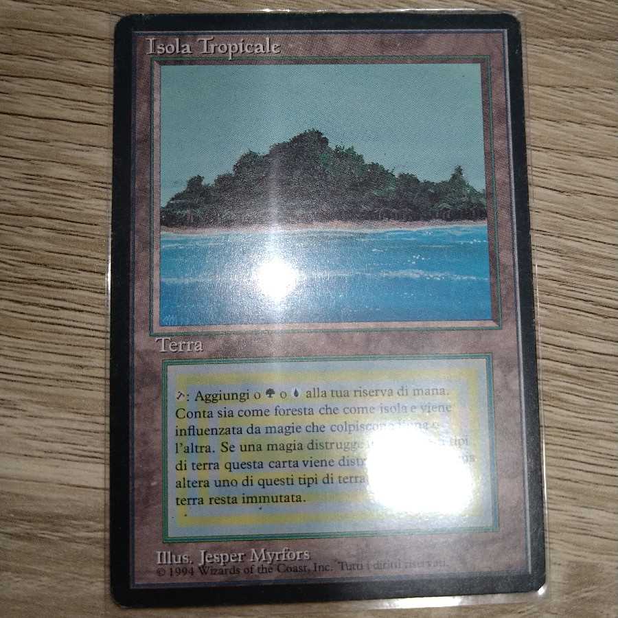 Tropical Island black frame FBB