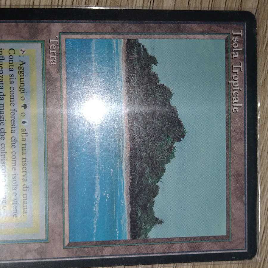 Tropical Island black frame FBB