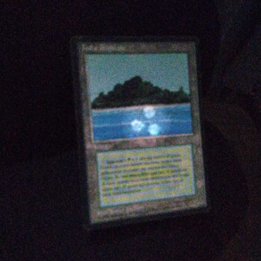 Tropical Island black frame FBB