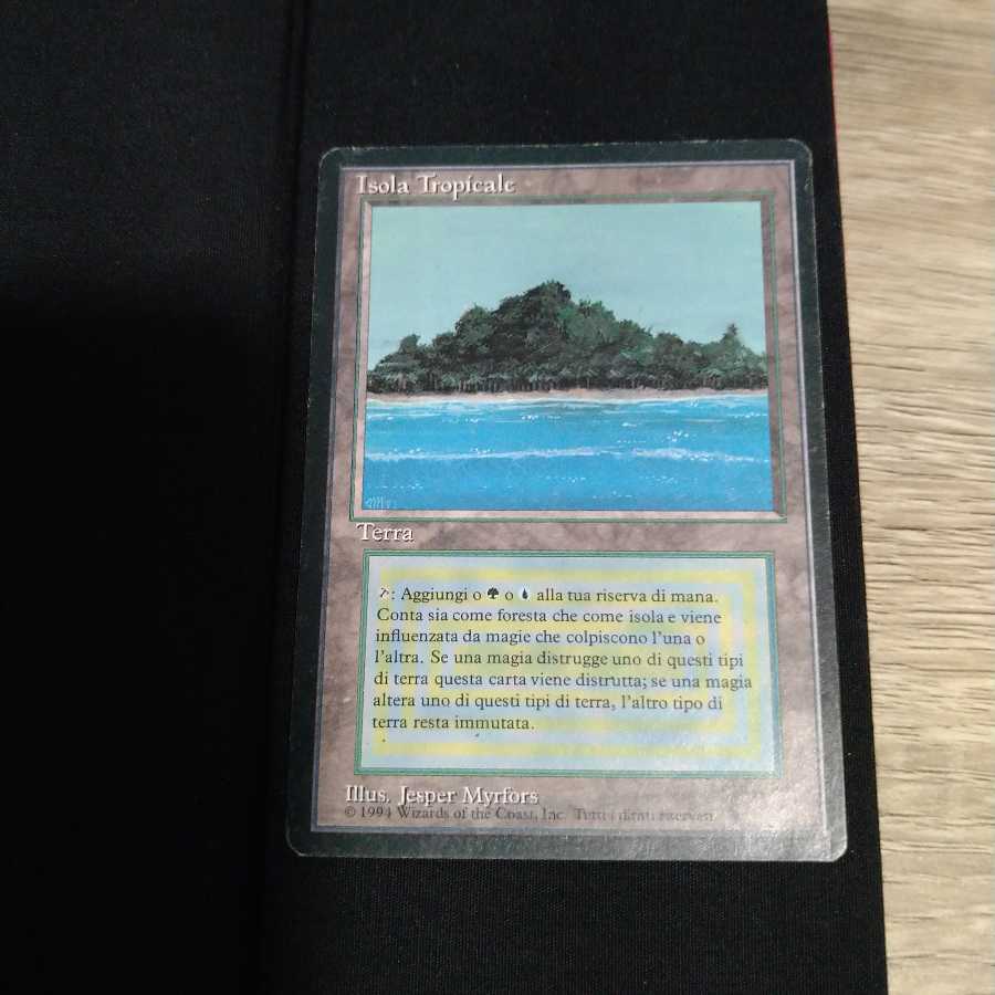 Tropical Island black frame FBB