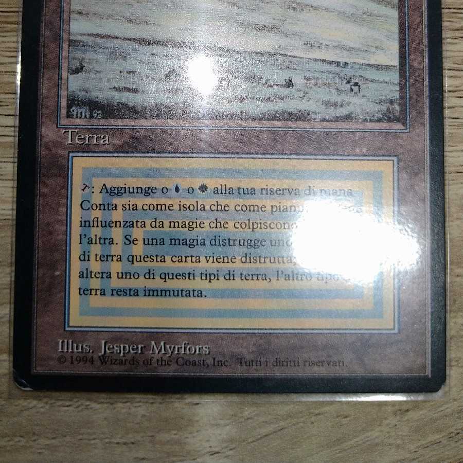 【専用】Tundra　黒枠　FBB