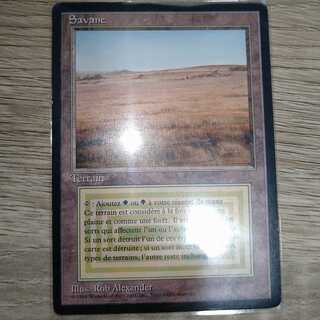 Savannah　黒枠　FBB