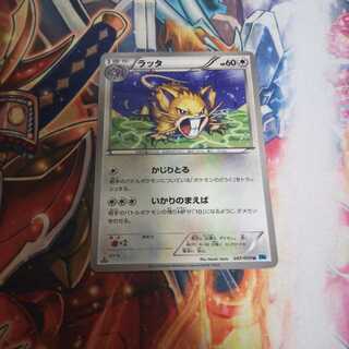 Pokéka Raticate Anchor's Front