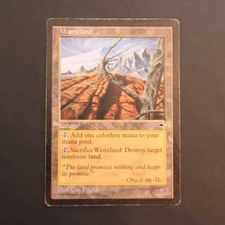 TMP【不毛の大地】英語 プレイド