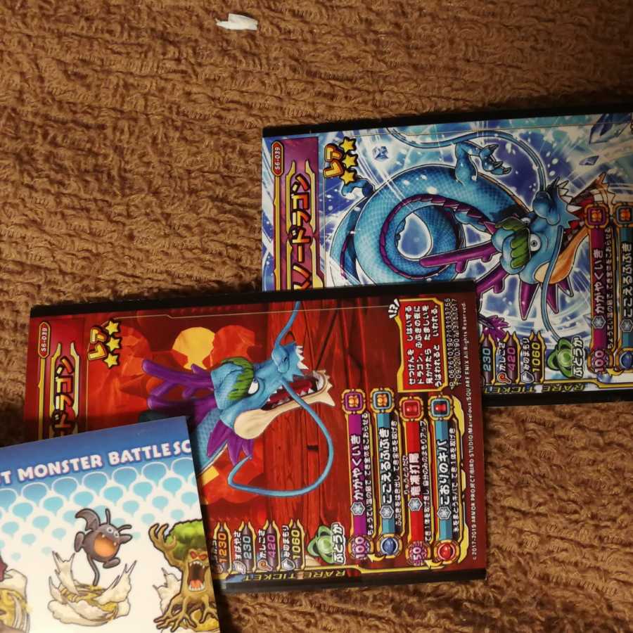 スノードラゴン2枚セット