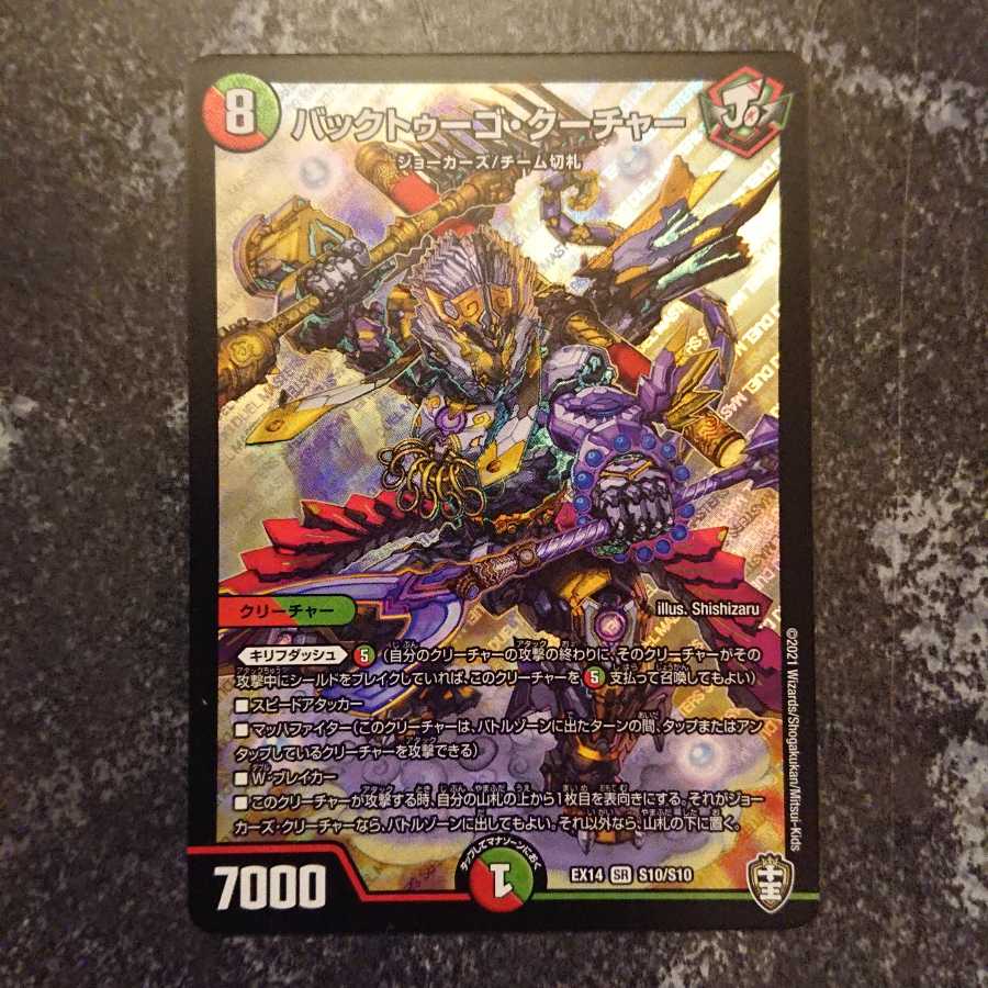 バックトゥーゴ・クーチャー