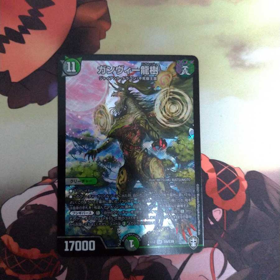 ガンヴィー龍樹