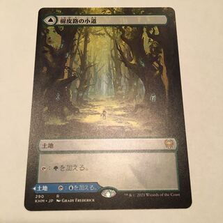 樹皮路の小道　拡張