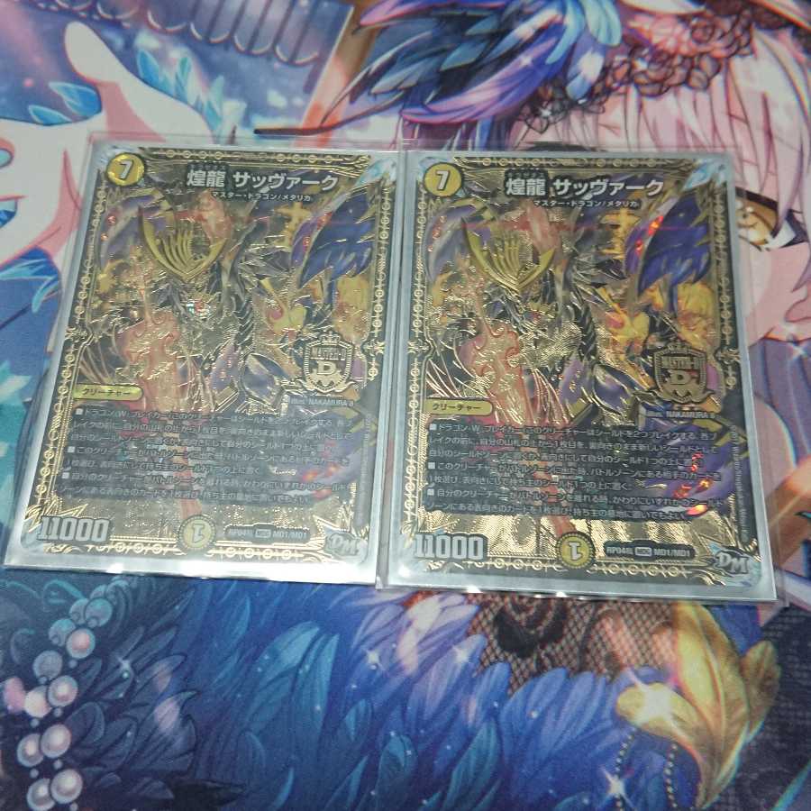 煌龍 サッヴァーク