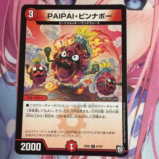 PAIPAIピンナポー