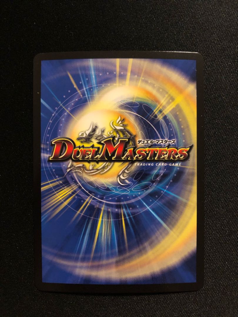 「獅子」の頂 ライオネル・フィナーレ