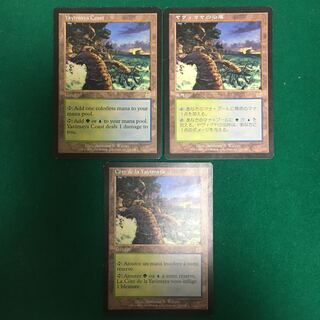 MTG 日本語　FOIL ヤヴィマヤの沿岸　APC ヤヴィマヤの沿岸 [APC] 【BIGWEB | MTG】日本最大級の激安