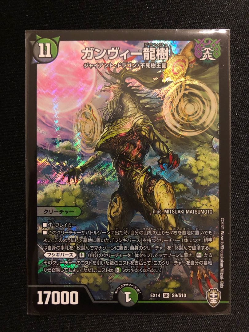 ガンヴィー龍樹