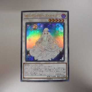 (美品)　ガーデン・ローズ・メイデン　ウルトラレア