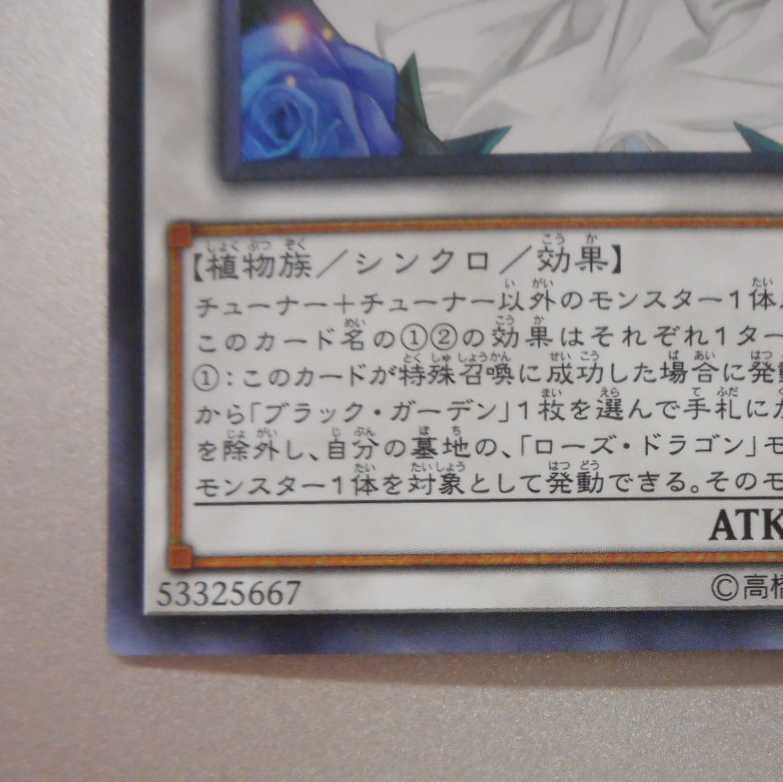 (美品)　ガーデン・ローズ・メイデン　ウルトラレア