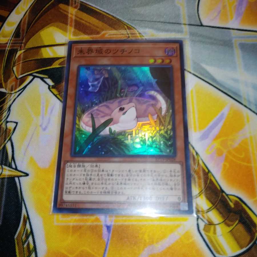 未界域のツチノコ