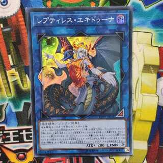 レプティレス・エキドゥーナ