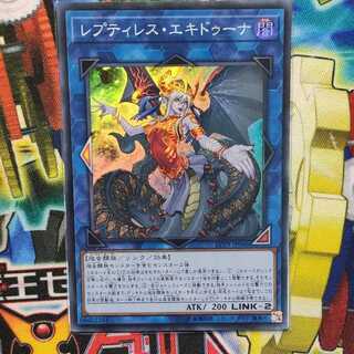 レプティレス・エキドゥーナ