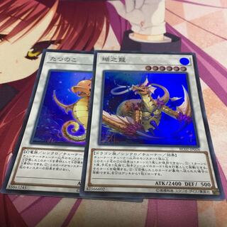 瑚之龍　たつのこ