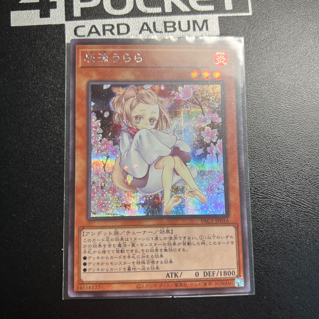 Ash Blossom & Joyous Spring (Umi external illustration) Secret Rare