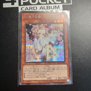 Ash Blossom & Joyous Spring (Umi external illustration) Secret Rare