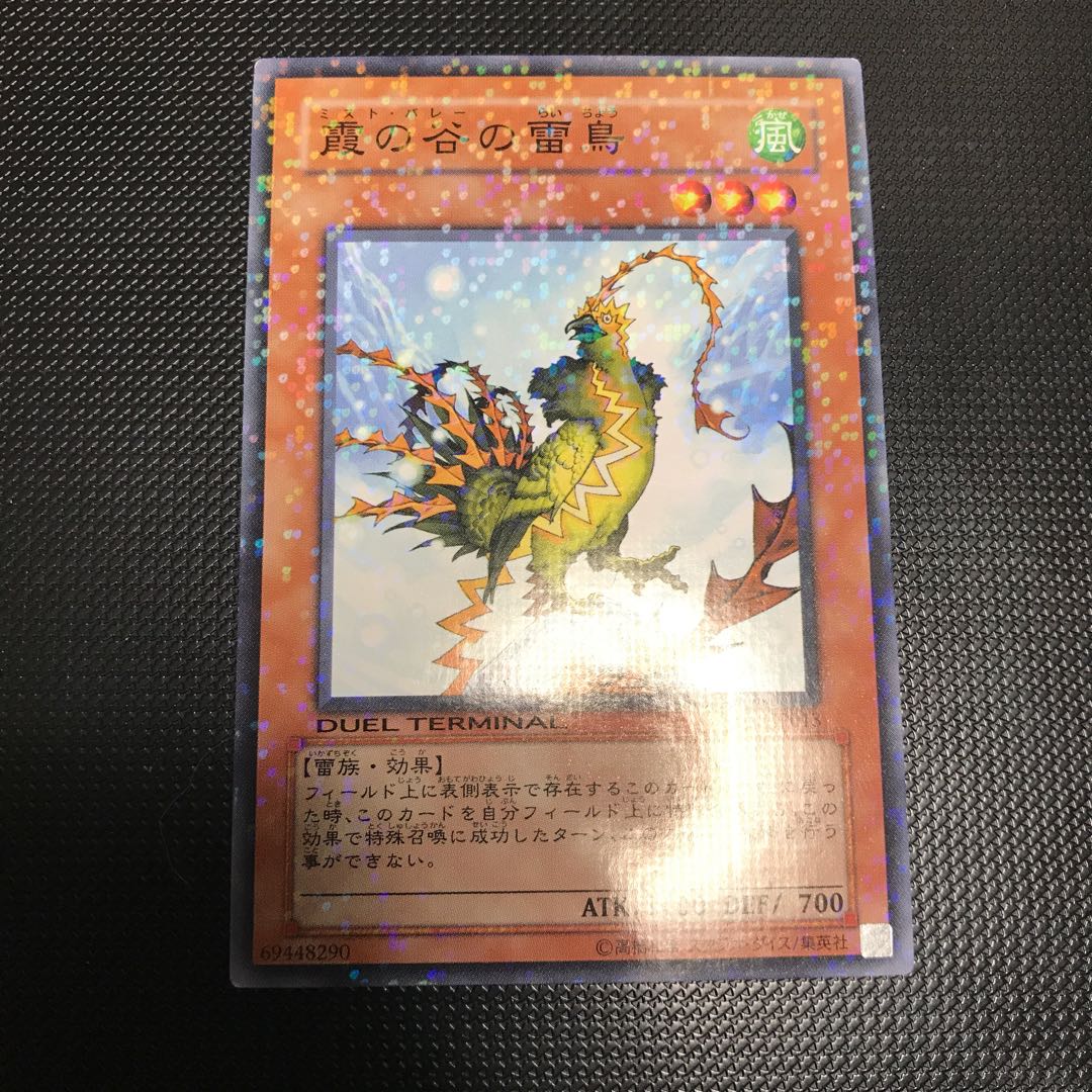 霞の谷の雷鳥 パラレル ノーマル