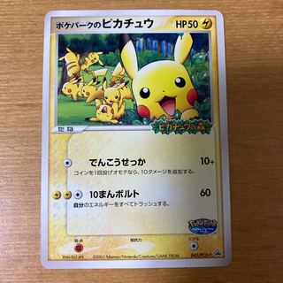 ポケパークのピカチュウ」の激安通販 | magi