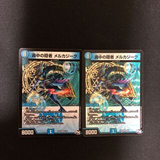 Hermit in the Vortex Mercadzik