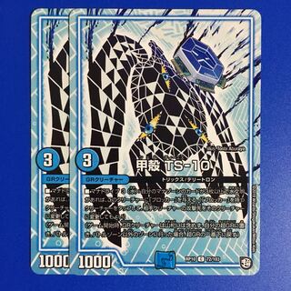 甲殻 TS-10 2枚セット