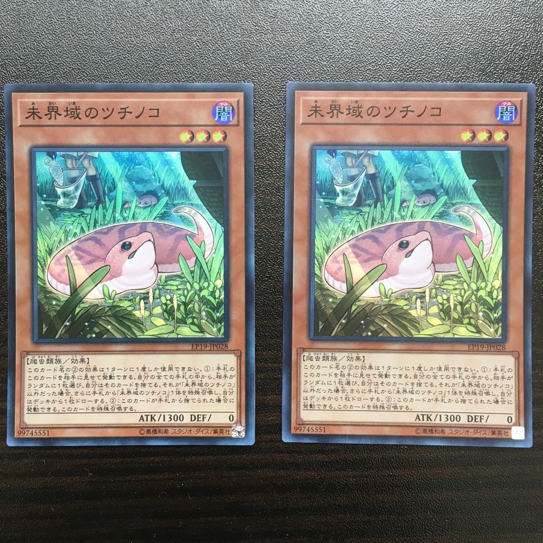 未界域のツチノコ