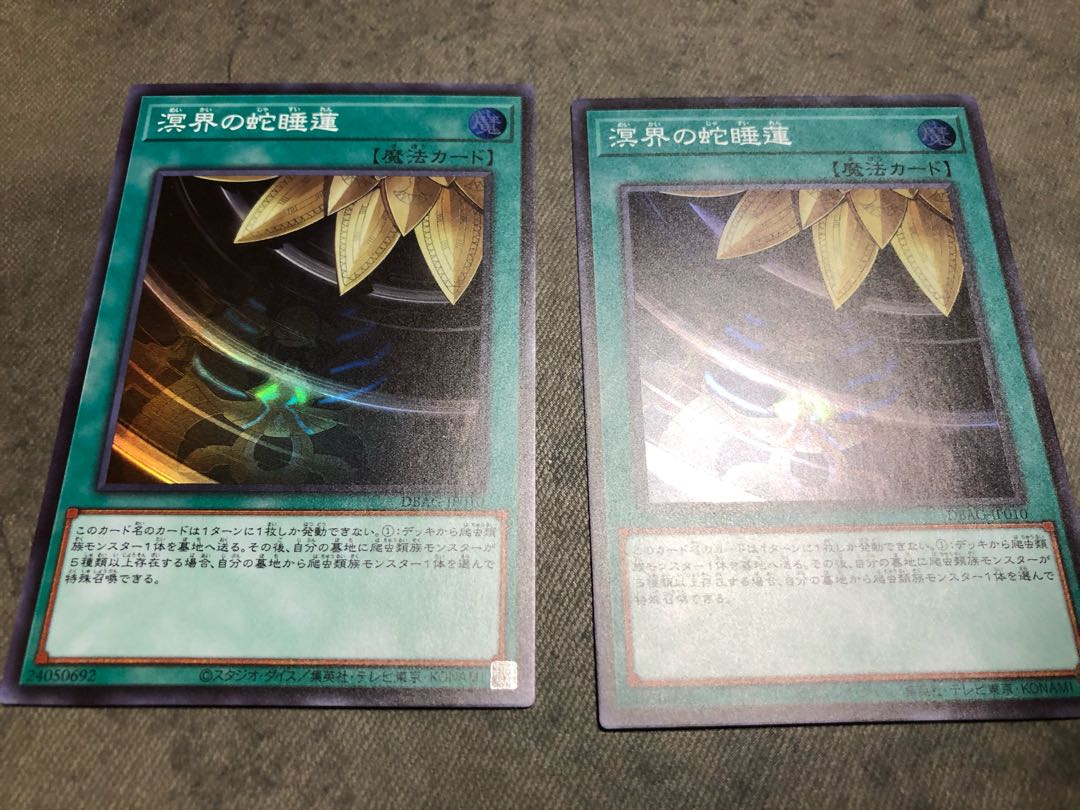 溟界 蛇睡蓮 オグドアビス カース ナイア