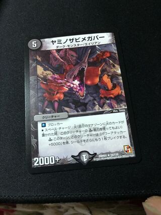 ヤミノザビメガパー