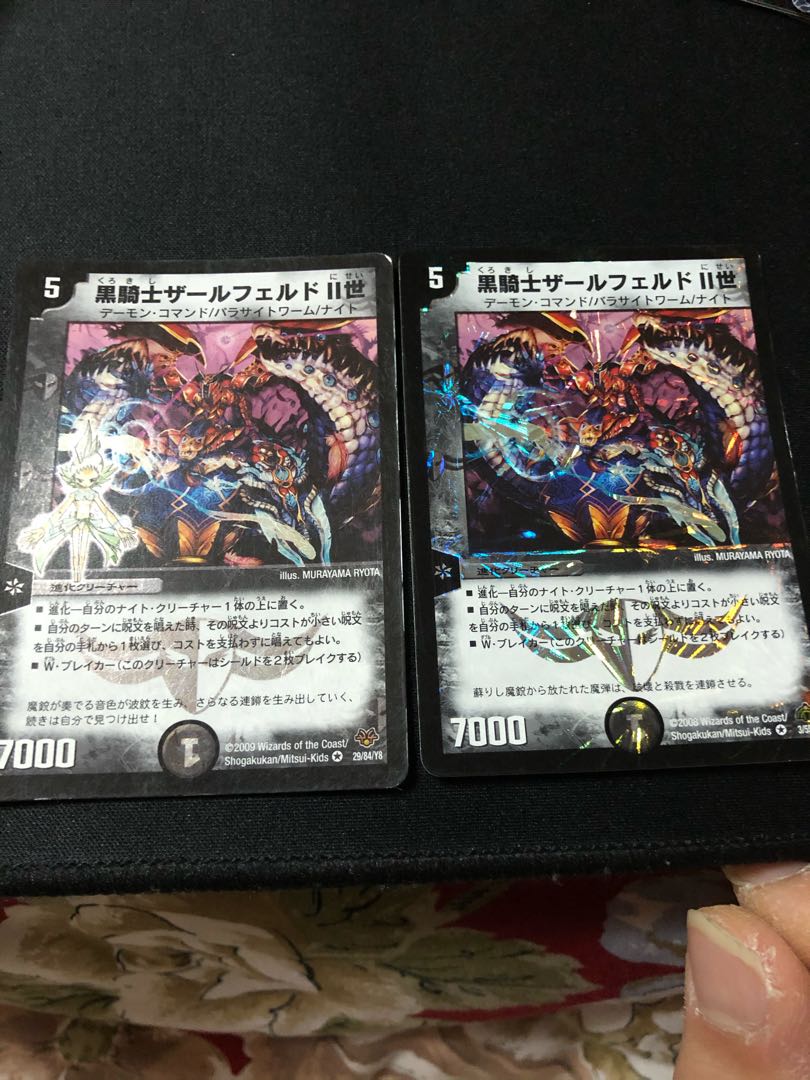 黒騎士ザールフェルドII世