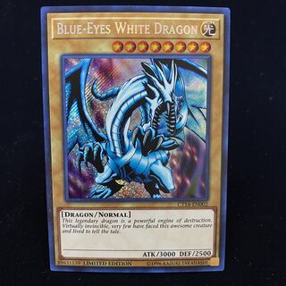 English Version Blue-Eyes White Dragon Secret Rare CT14-EN002