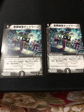 衰弱秘宝デッドリーン