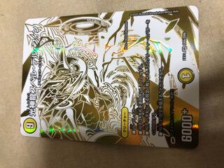 光神龍スペル・デル・フィン