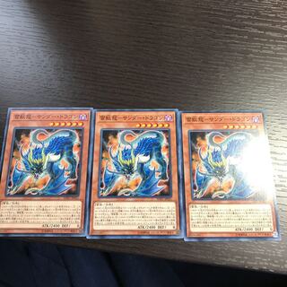 雷獣龍-サンダー・ドラゴン