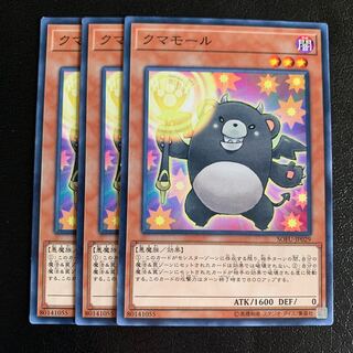 クマモール ノーマル