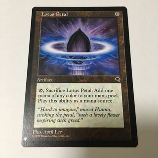 水蓮の花びら　英語　MB1