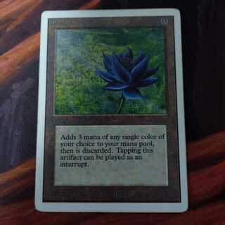 black lotus