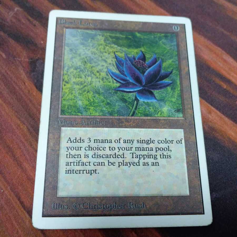 black lotus