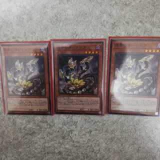 溟界の滓-ナイア