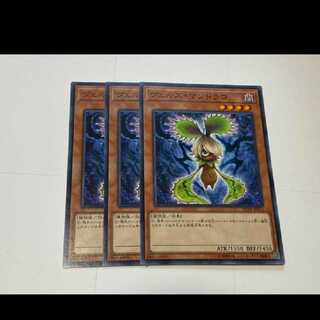 遊戯王 ヴェルズ・マンドラゴ 3枚　型番あ-3195